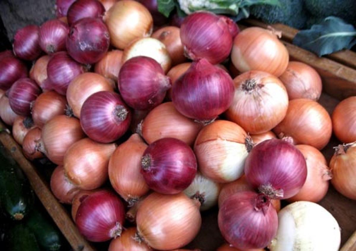 Kurnool onion to be procured for hostels, fair price shops