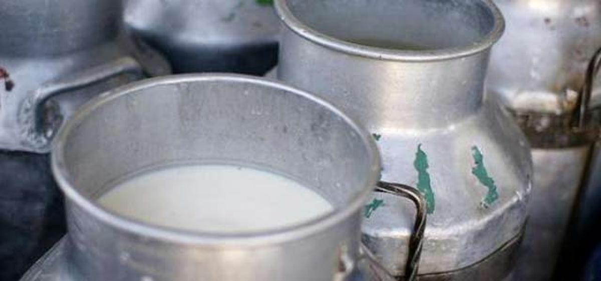 Telugu States rank third in milk production