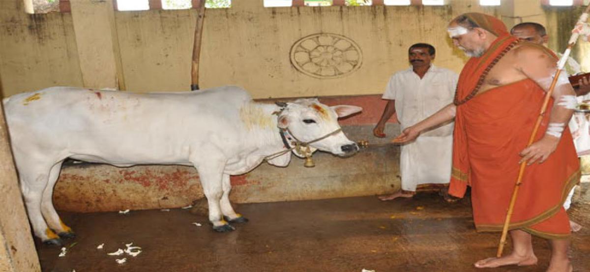 Visakha seer hails cow slaughter ban