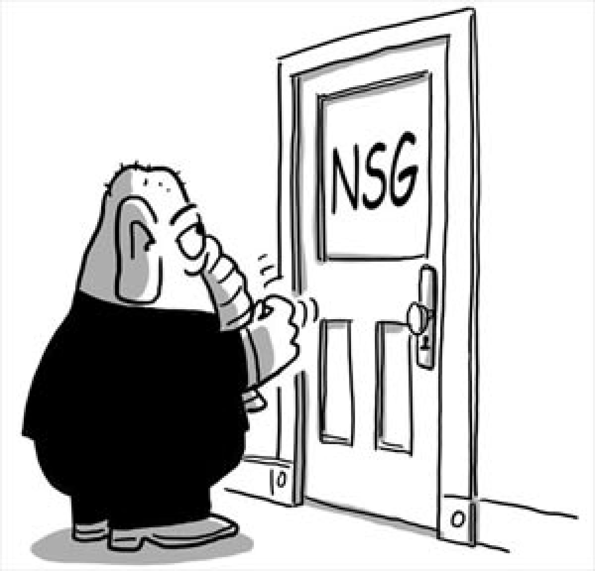 NSG membership crucial for India