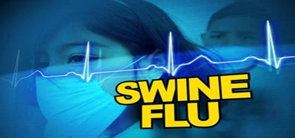 12 cases of Swine Flu reported in single day