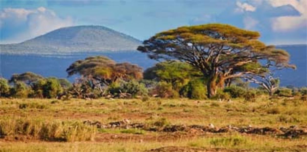 Kenya Announces New Incentives to boost tourism