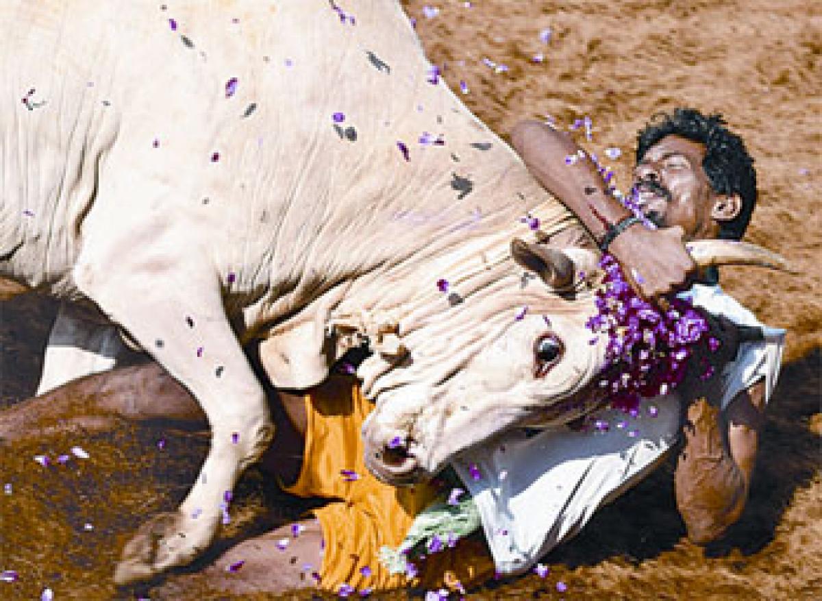 Extend session for Jallikattu nod : Jaya