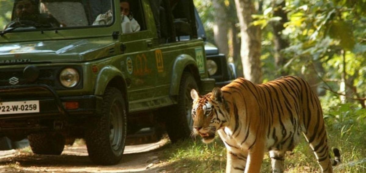 Eco-tourism may put wildlife at risk​ in Telangana​