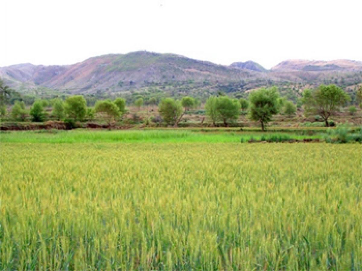 Punjab, the land of five rivers staring at dark future on water front