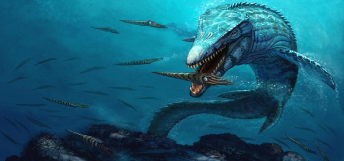 Gigantic, ancient armoured B rex fish discovered