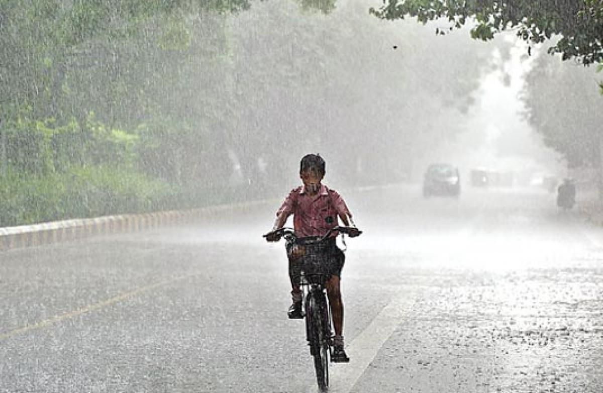 Monsoon set to gain momentum IMD