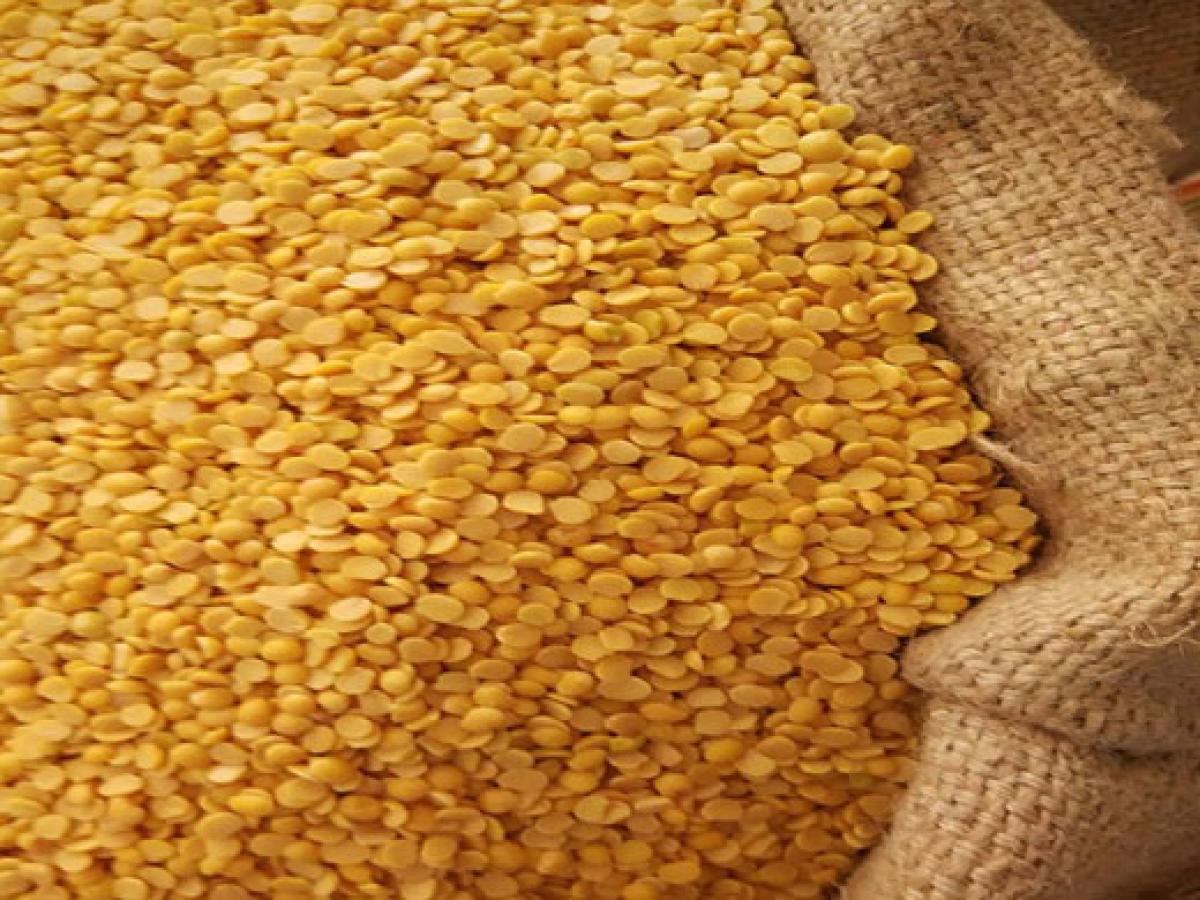 Agri Min proposes 20% hike in tur dal import duty