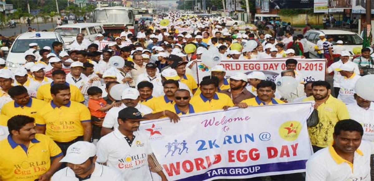 NECC holds 2K Run to promote egg consumption