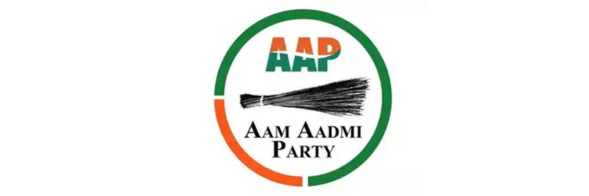 AAP to back shows at constituency level