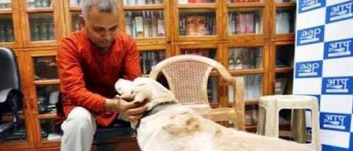 AAP MLA Somnath Bharti’s pet Don dies