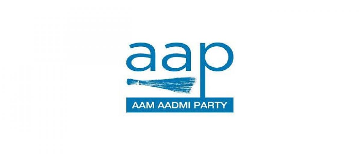 AAP plans small ticket crowdfunding