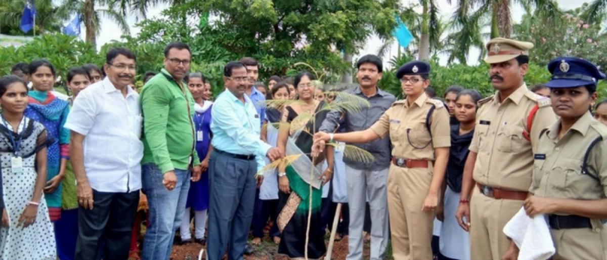 ACP Sindhu Sharma plants saplings