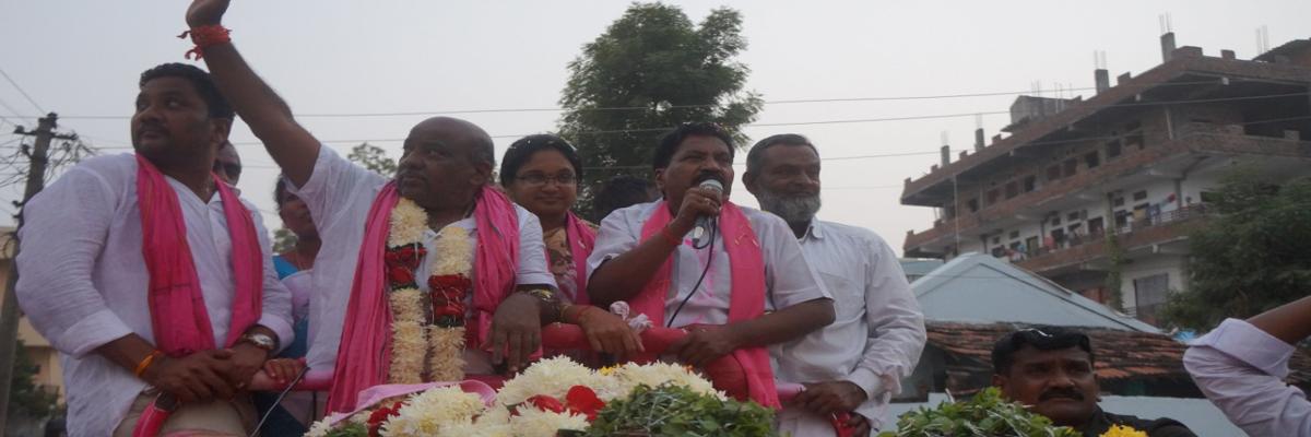 Pink party wins nine, Congress wins one seat