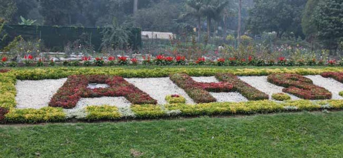 Agri-Horticultural Society to conduct training on Terrace Gardening