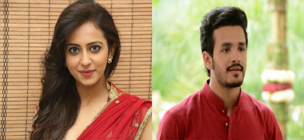 Rakul Preet To Romance Akkineni Hero