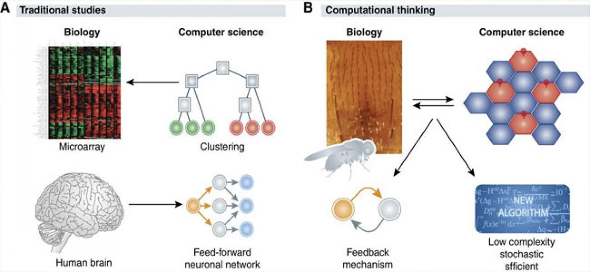 Life influenced by Algorithms