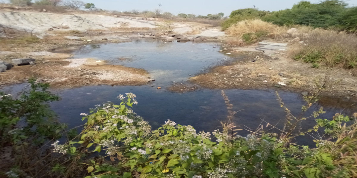 University of Hyderabad biodiversity losing its sheen