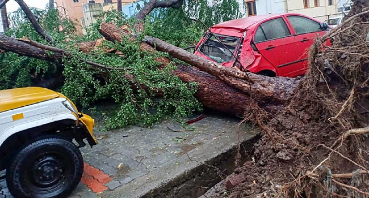 Cyclone kills 20, leaves trail of destruction in Tamil Nadu