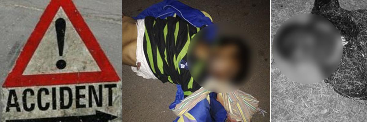 2 youth killed in road accident in Mahbubnagar