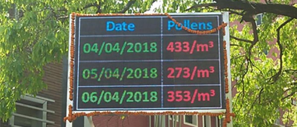 Delhi to start monitoring pollen pollution