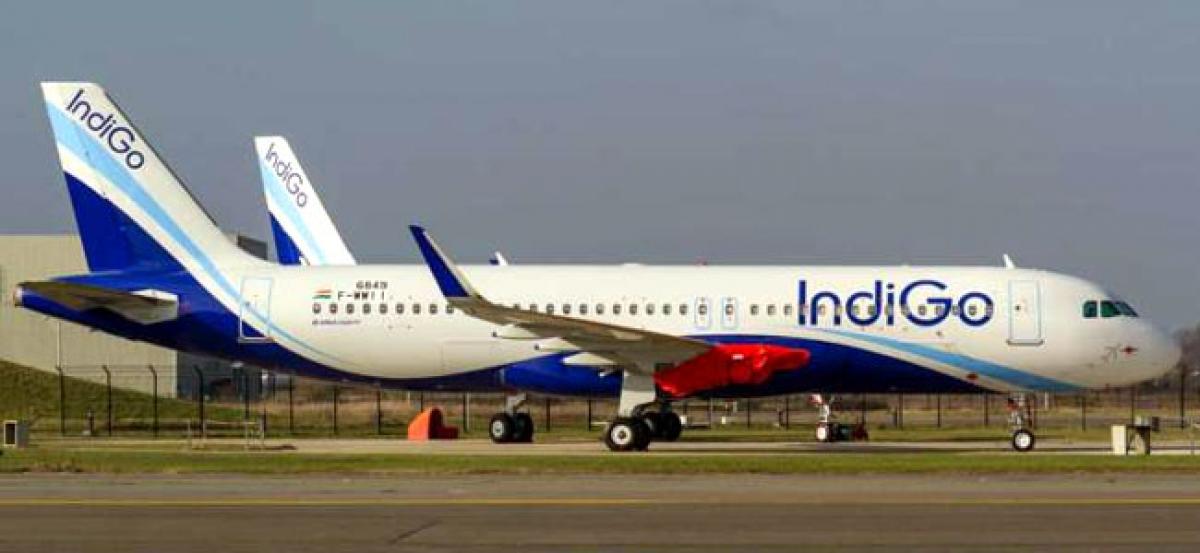 Wild boar hits Indigo flight during take-off, Airline issues statement