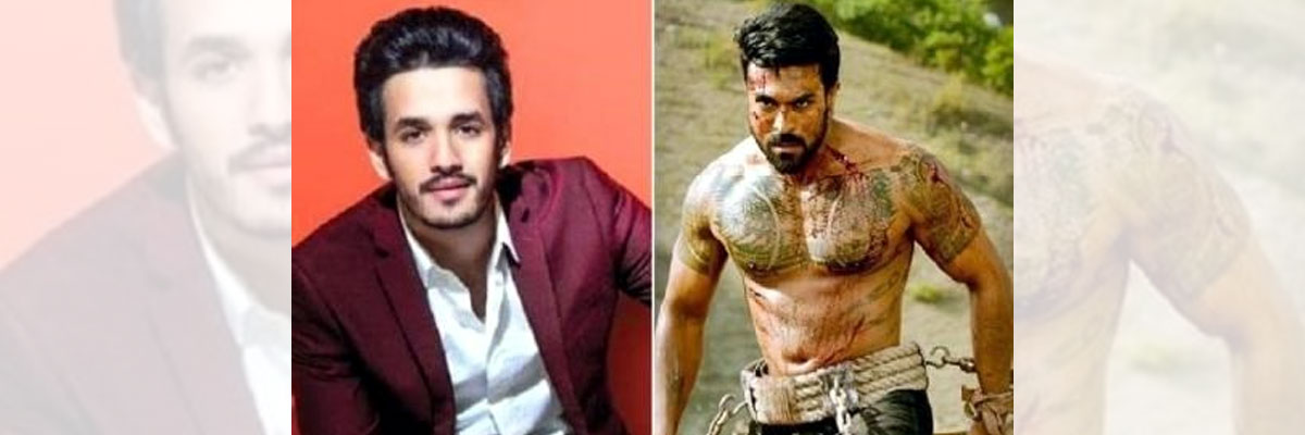 Akhil Akkineni Unveils VVR Trailer, Feat Ram Charan And Kiara Advani