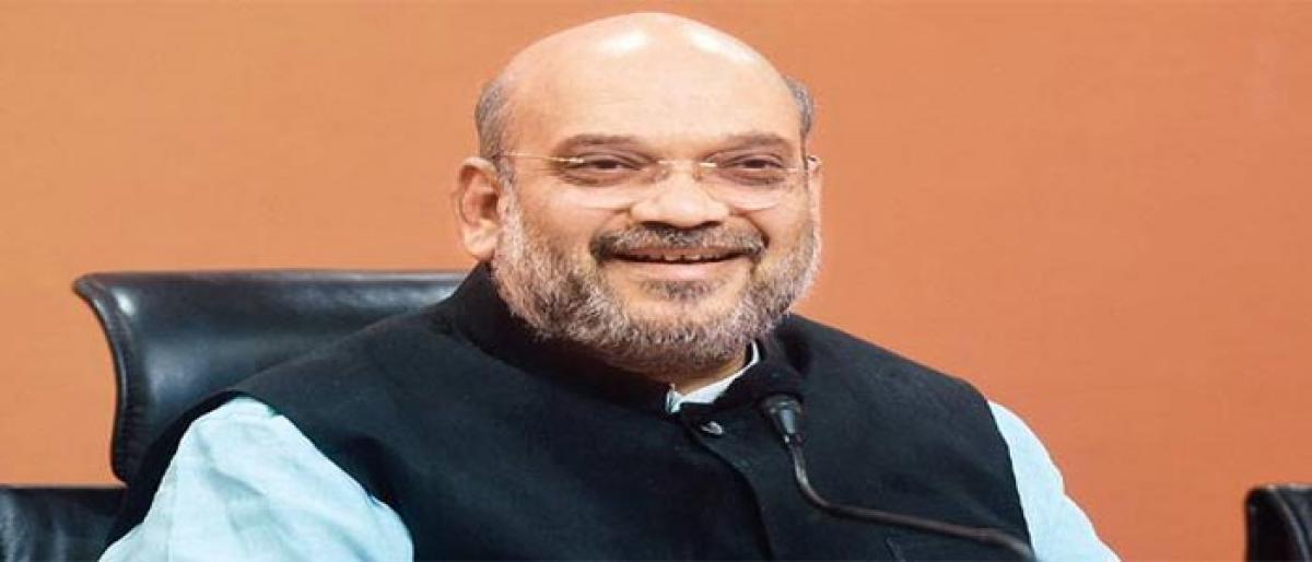 Kerala CM responsible for murders of BJP, RSS workers: Amit Shah