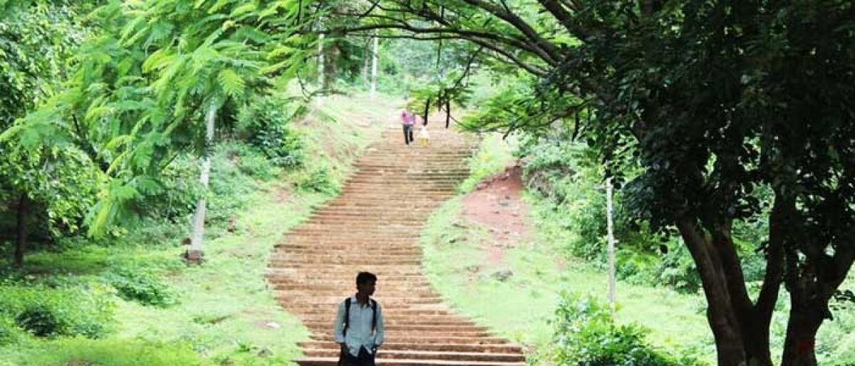 Plan to turn Anantagiri Hills a detox destination