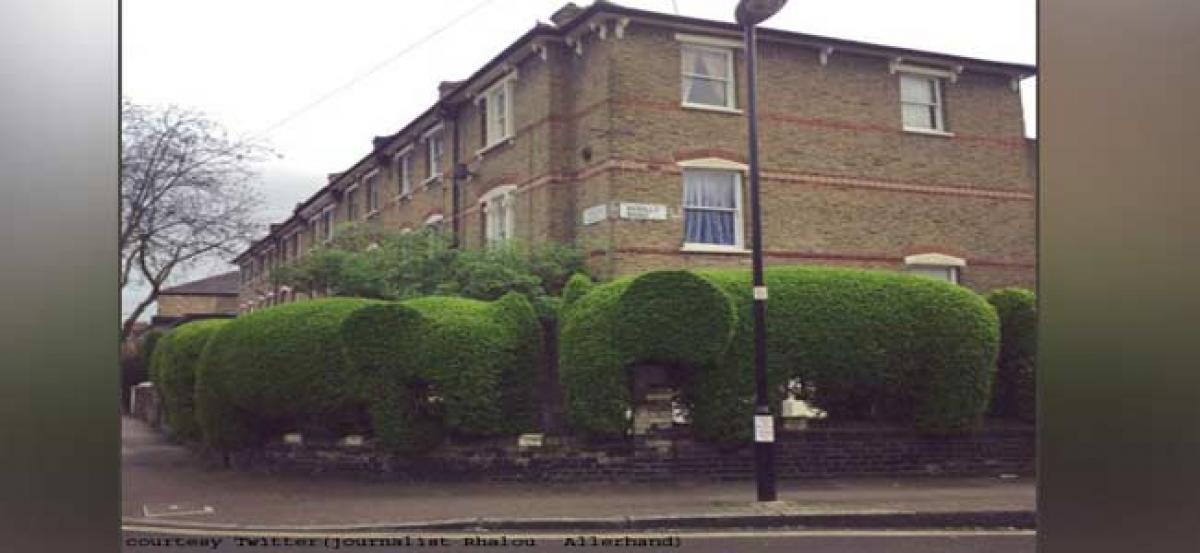 Architects popular elephant-shaped hedges helping UK Charity