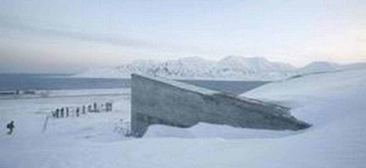 Russia to hand over 2,000 seed specimens to Arctic Vault