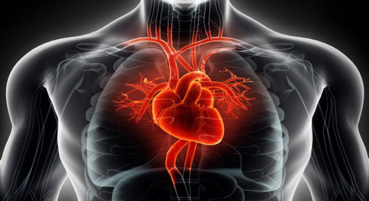 Bio-med engineers zero in on sodium ion role in controlling heartbeat