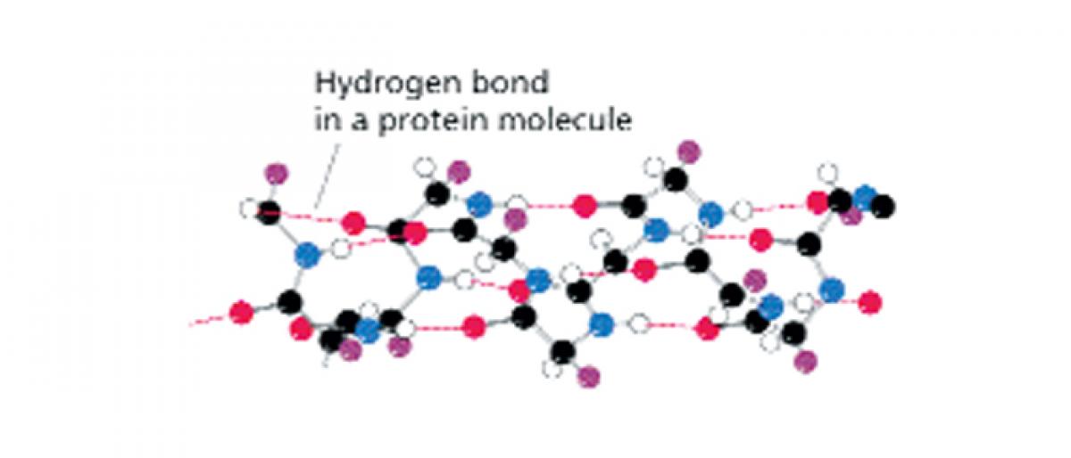 atom vs molecule