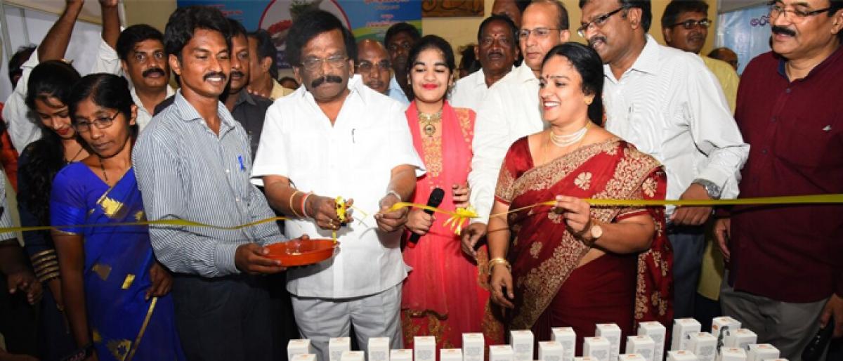 Ayurvedic Mela commences in Vijayawada