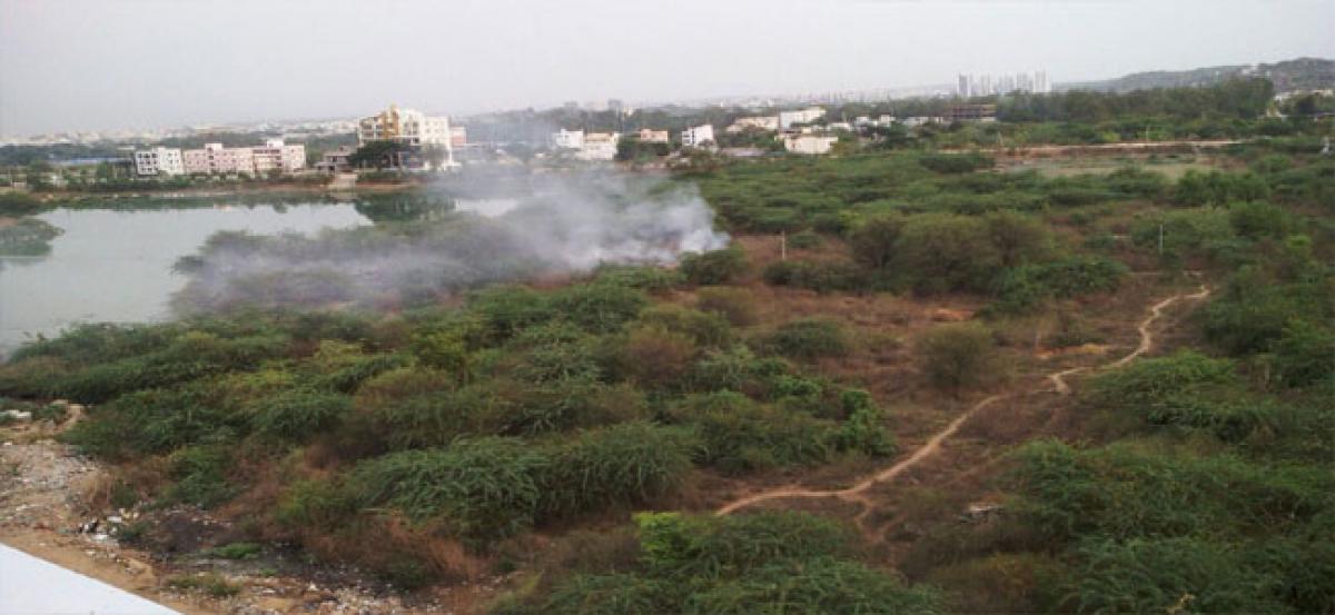 Garbage burnt near Neknapur Lake