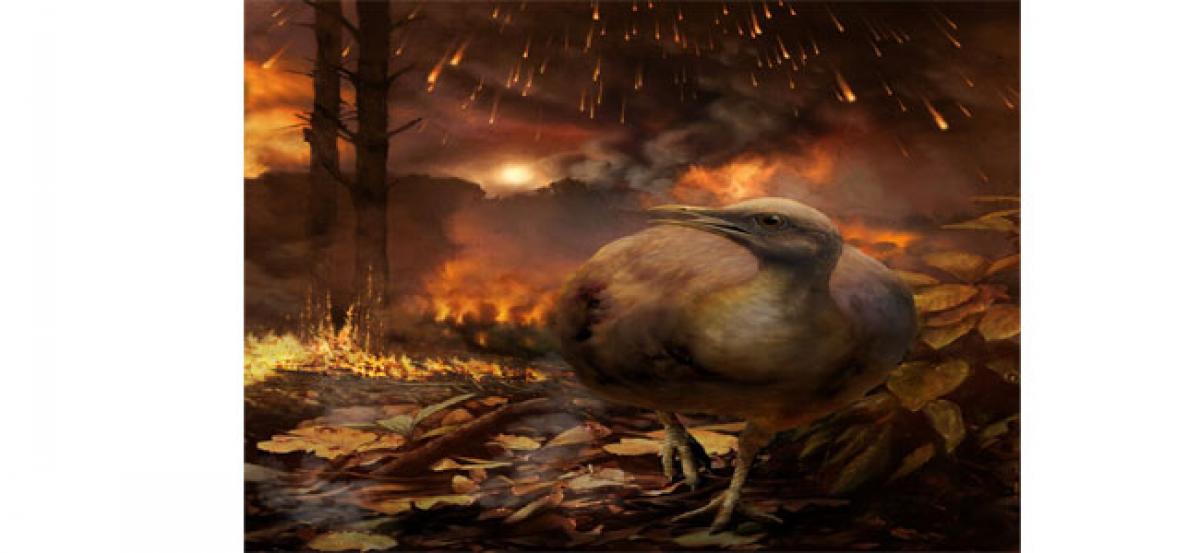 First tree-dwelling birds went extinct with dinosaurs