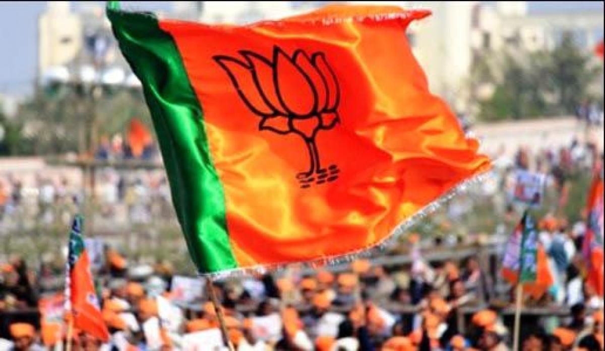 BJP gets early lead in Gujarat local body polls