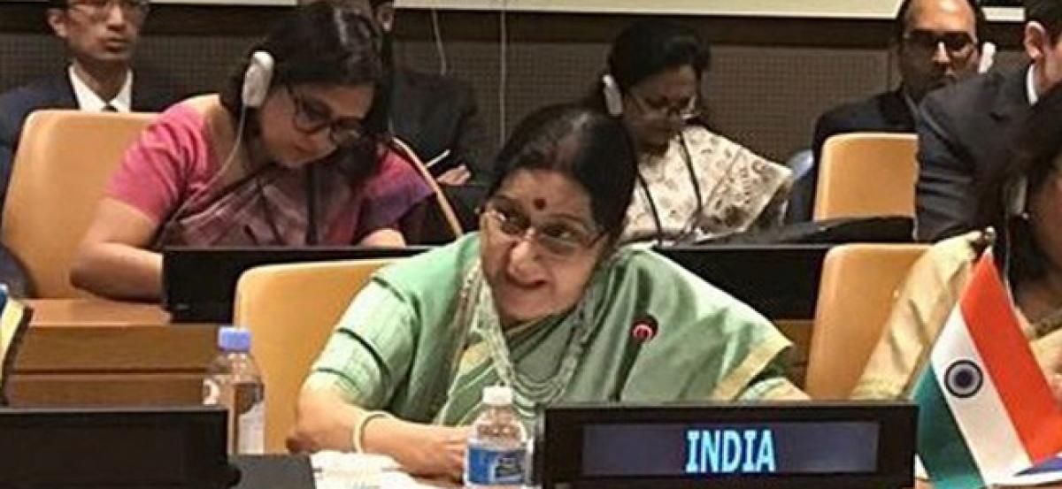Terrorism cant be justified: Swaraj at SCO meet