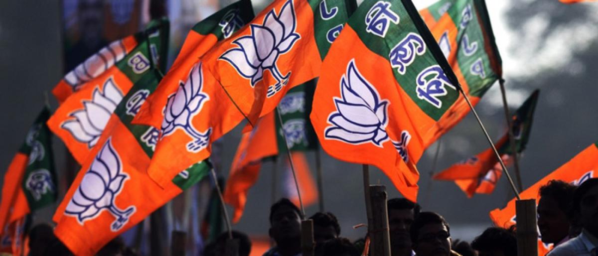 BJP planning to hit back at the TDP