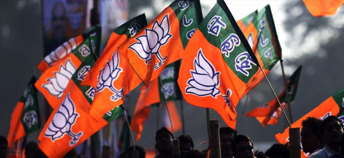 BJP weighing options for five Lok Sabha  seats