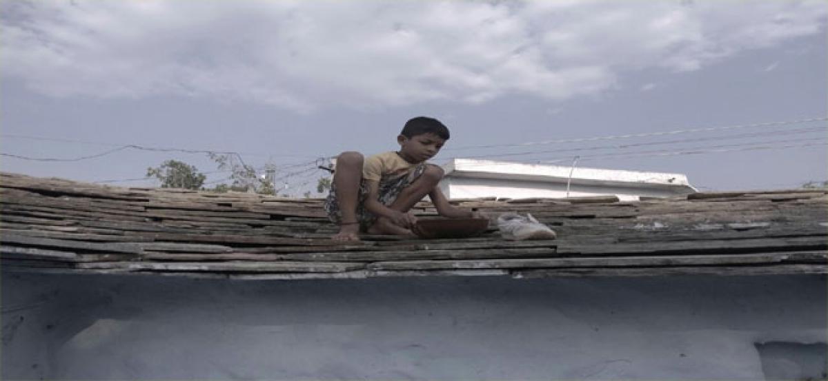 10-yr-old boy’s gesture for birds wins hearts