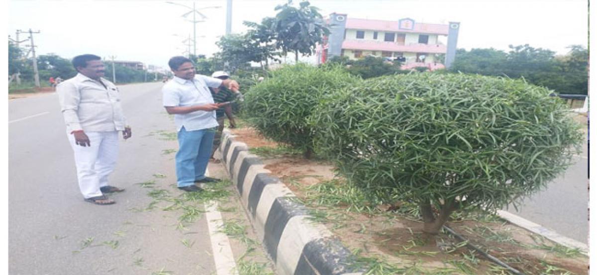 Road beautification works inspected