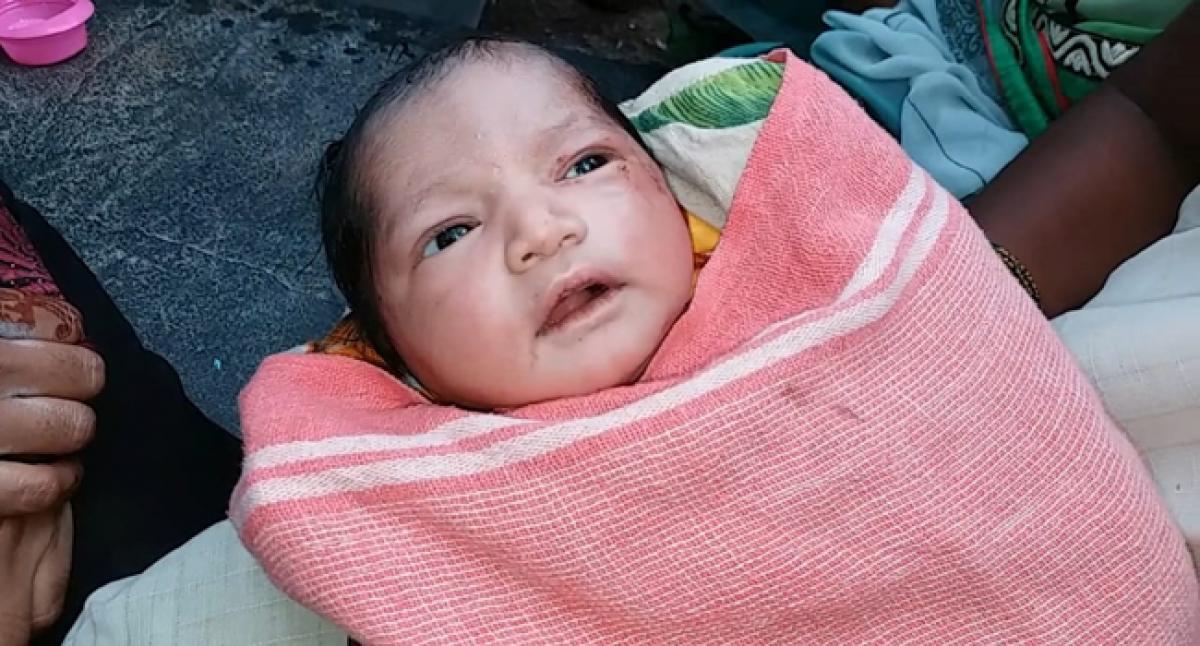 Baby girl abandoned in bushes, saved