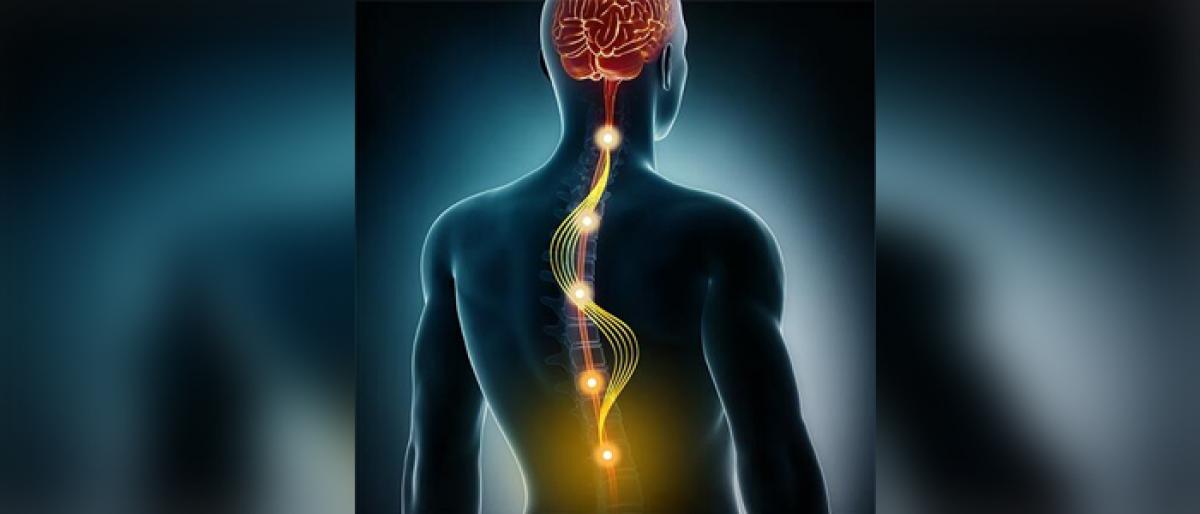 Spinal cord stimulation offers new hope for paralysed people