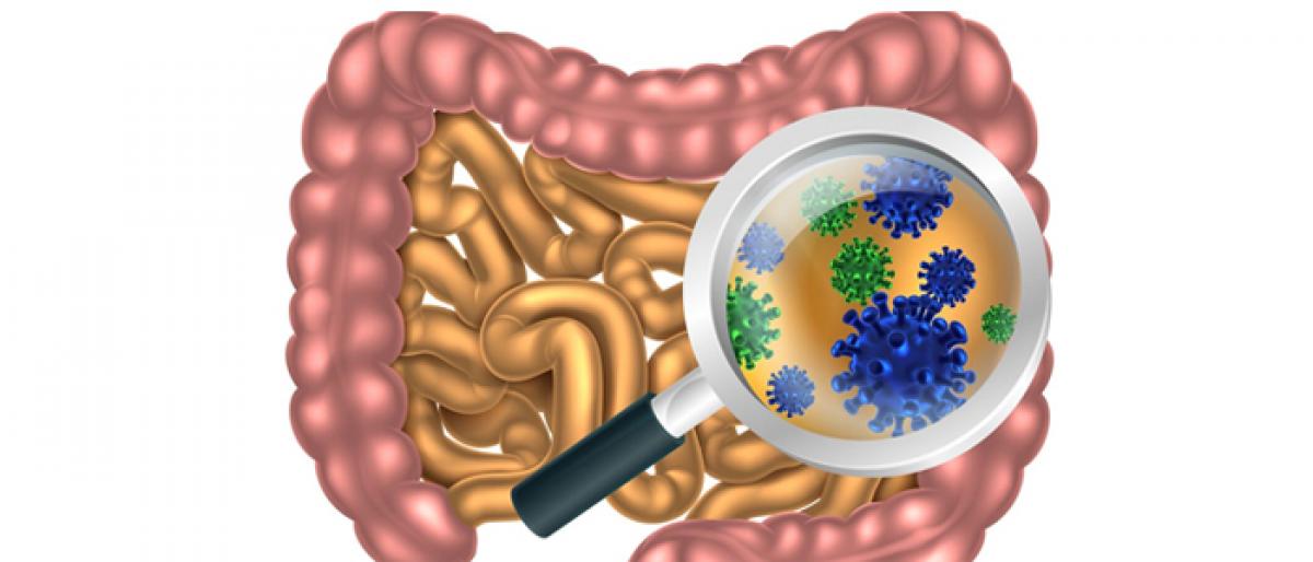 Gut bacteria can contribute to diabetes: Study