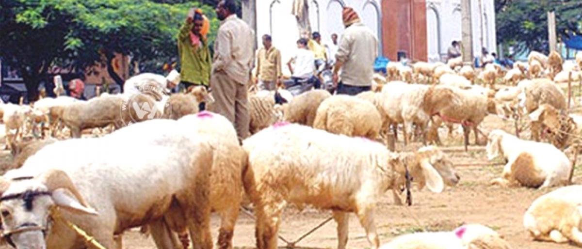 No open slaughtering of animals for Bakrid says Municipal Corporation Commissioner Sumit Kumar