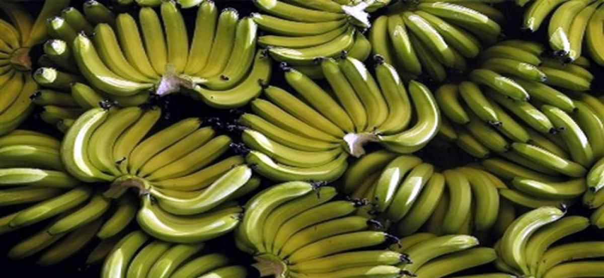 Bananas may help prevent strokes and heart attacks, suggests study