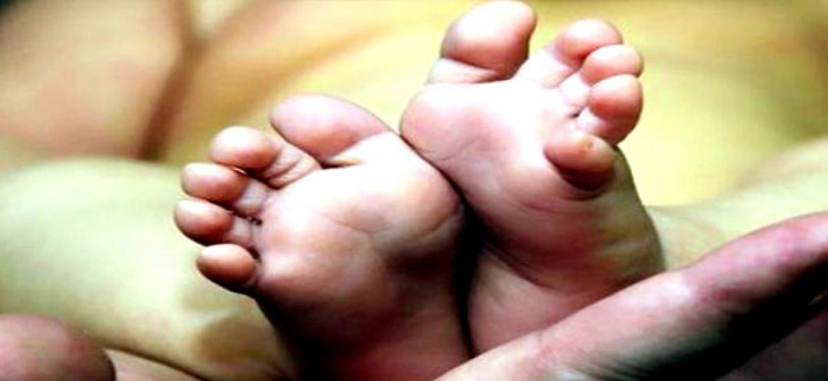 Pig mauls infant to death in Delhi