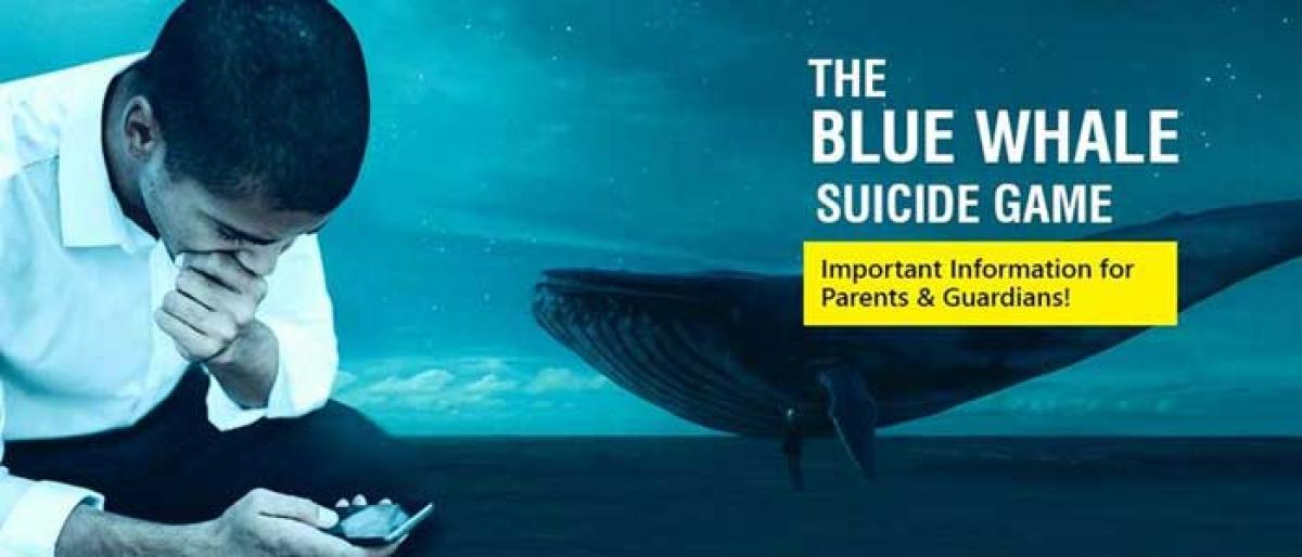 Govt wakes up to Blue Whale threat