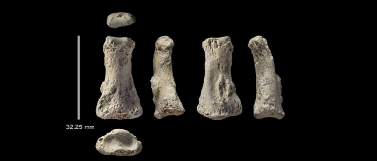 Ancient finger bone pushes back human migration from Africa